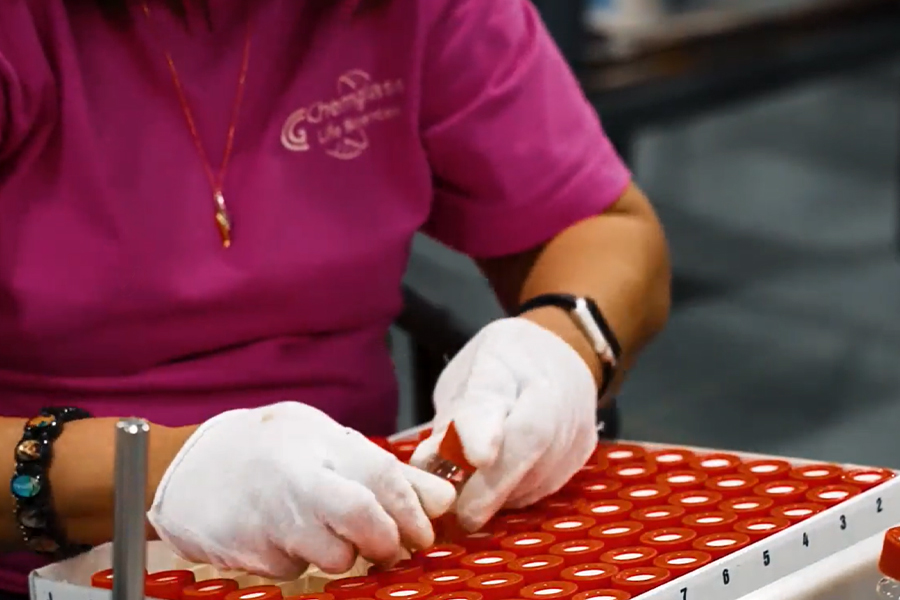 Vial packaging, inspection and capping