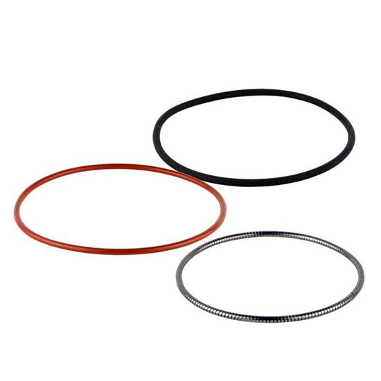 O-RINGS FOR REACTION VESSELS AND LIDS