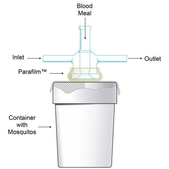MOSQUITO FEEDERS, SMALL, 14MM DIAMETER FEED AREA, MEMBRANE STYLE, GLASS