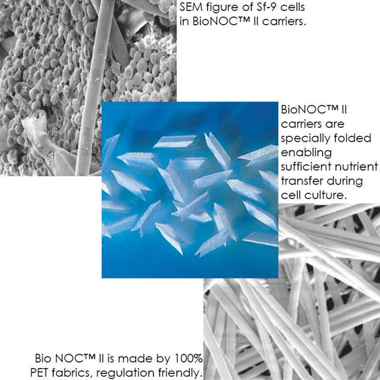 BioNOC™ II CELL CULTURE CARRIERS