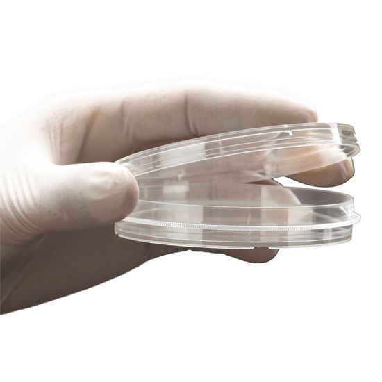 PETRI DISHES, NON-TREATED, STERILE, WITH GRIPPING RINGS