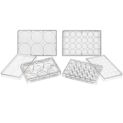 GLASS BOTTOM CELL CULTURE PLATES