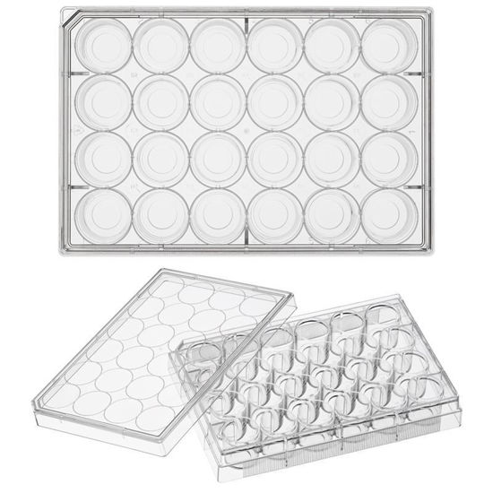 GLASS BOTTOM CELL CULTURE PLATES