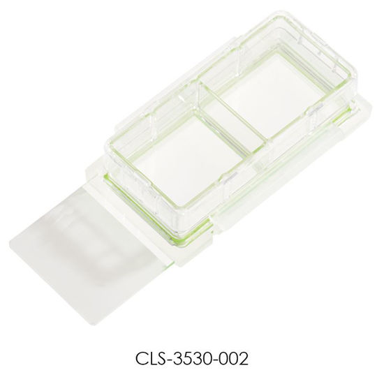 CLS-3530-002; CELL CULTURE SLIDE - 2 CHAMBERS