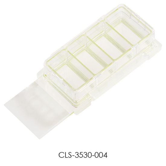 CLS-3530-004; CELL CULTURE SLIDE - 4 CHAMBERS