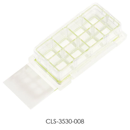 CLS-3530-008; CELL CULTURE SLIDE - 8 CHAMBERS