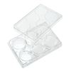 TISSUE CULTURE PLATES, 6 WELL, TC TREATED, FLAT BOTTOM, STERILE