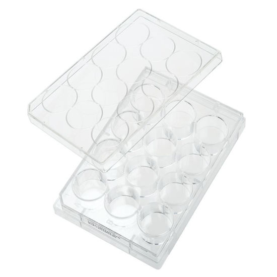 TISSUE CULTURE PLATES, 12 WELL, TC TREATED, FLAT BOTTOM, STERILE