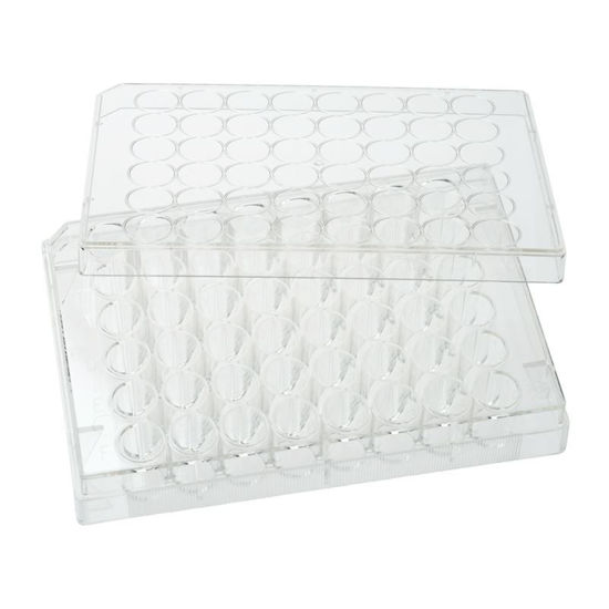TISSUE CULTURE PLATES, 48 WELL, TC TREATED, FLAT BOTTOM, STERILE