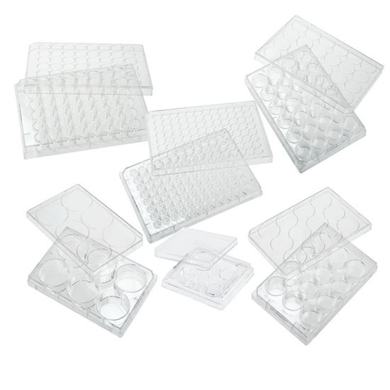 PLATES, NON-TREATED, FLAT BOTTOM, STERILE, WITH LIDS