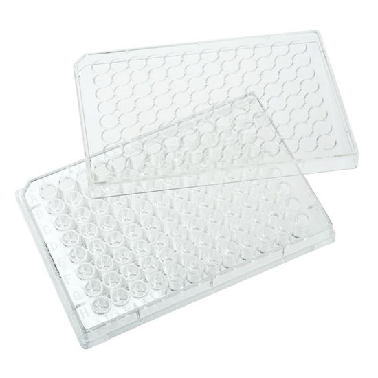 PLATES, NON-TREATED, 96 WELL, FLAT BOTTOM, STERILE, WITH LIDS