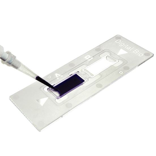 C-CHIP DISPOSABLE HEMOCYTOMETERS