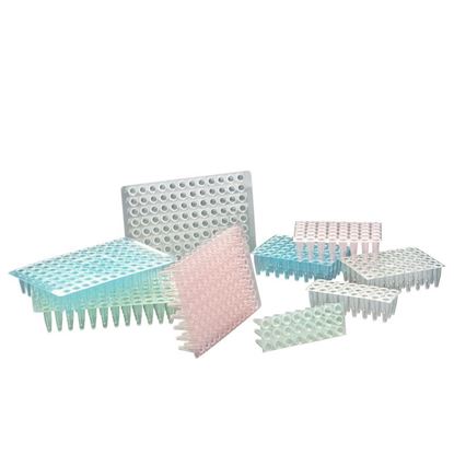 PCR THIN WALL REACTION PLATES, AMPLATE
