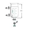 REACTION VESSELS, JACKETED, BENCHTOP, DETACHABLE DRAIN VALVES