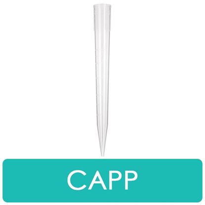 PIPETTE TIPS, LARGE VOLUME, CLEAR, RACKED, STERILE AND NON-STERILE, CAPP