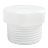 CG-1945-T-89; 1" NPT PLUG, PTFE