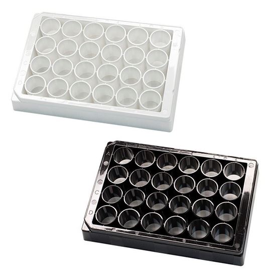 MICROPLATE, 24-WELL, ASSAY OR TISSUE CULTURE TREATED, BLACK OR WHITE, ROUND WELLS, PORVAIR