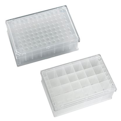 MICROPLATE, BACTI-GROWTH PLATE, 96-WELL And 24-WELL, ROUND OR SQUARE, STERILE, PORVAIR