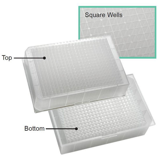 MICROPLATE, 384-WELL, SQUARE, PORVAIR