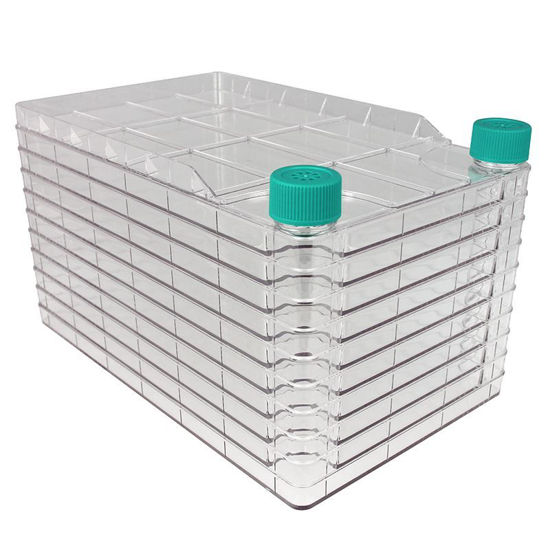 NEST BIOFACTORY, 10 CHAMBER WIDE MOUTH, FILTER VENT CAPS, NEST, STERILE