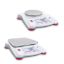 PORTABLE PRECISION BALANCE, SCOUT®, READABILITY 0.01 G, OHAUS