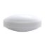 STIR BARS, MAGNETIC, PTFE, EGG-SHAPED, BULK PACKED