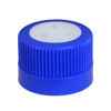CG-1158-15; GPI-38 CAP ASSEMBLY, BLUE, 1/8"