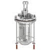 2L MICROBIAL FERMENTATION BIOREACTOR SYSTEMS, UNJACKETED