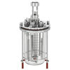 3L MICROBIAL FERMENTATION BIOREACTOR SYSTEMS, UNJACKETED