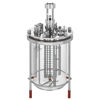 5L MICROBIAL FERMENTATION BIOREACTOR SYSTEMS, UNJACKETED