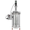 7L MICROBIAL FERMENTATION BIOREACTOR SYSTEMS, UNJACKETED, WITH MOTOR