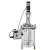 3L CELL CULTURE BIOREACTOR SYSTEMS, UNJACKETED, WITH MOTOR
