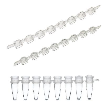 PCR REACTION STRIPS, AMPLITUBE, 0.2ML, AND CAP STRIPS