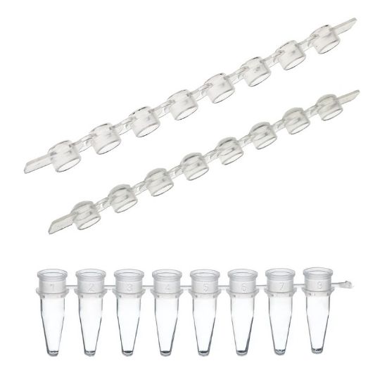 PCR REACTION STRIPS, AMPLITUBE, 0.2ML, AND CAP STRIPS