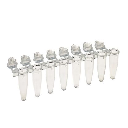 PCR REACTION STRIPS, AMPLITUBE, 0.2ML, WITH ATTACHED CAPS