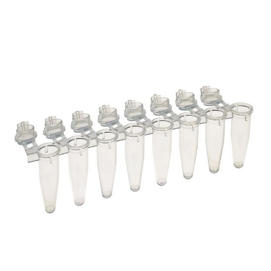 PCR REACTION STRIPS, AMPLITUBE, 0.2ML, WITH ATTACHED CAPS