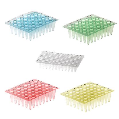 PCR THIN WALL REACTION PLATES,  AMPLATE