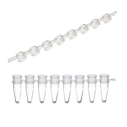 PCR REACTION STRIPS, AMPLITUBE, 0.2ML, AND CAP STRIPS