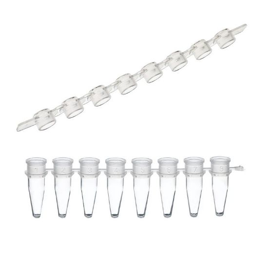 PCR REACTION STRIPS, AMPLITUBE, 0.2ML, AND CAP STRIPS